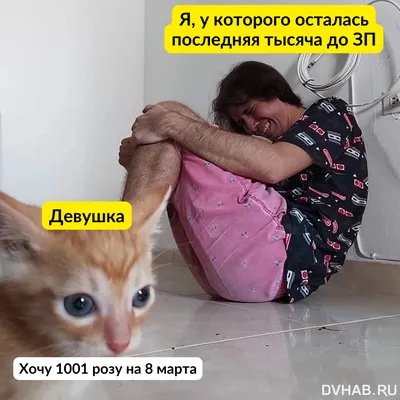 Весеннее настроение — Новости — Отдел по внеучебной работе со студентами  (Нижний Новгород) — Национальный исследовательский университет «Высшая  школа экономики»