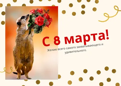 Юмор среди нас
