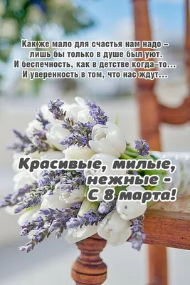 Картинки на 8 марта: красивые, прикольные и необычные открытки к празднику  - МК Новосибирск