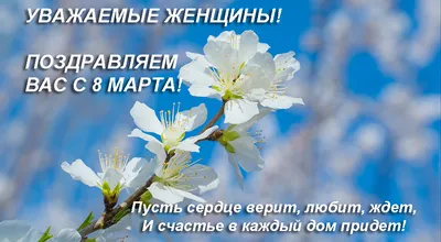 Картинки на 8 марта: красивые, прикольные и необычные открытки к празднику  - МК Новосибирск