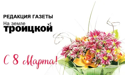 Лисички готовятся к Дню защитника Отечества Котики ждут 8 марта Опять?!  Воу-воу-воу! а это закон / Лиса комиксы :: Лисички Против Котиков ::  Смешные комиксы (веб-комиксы с юмором и их переводы) /