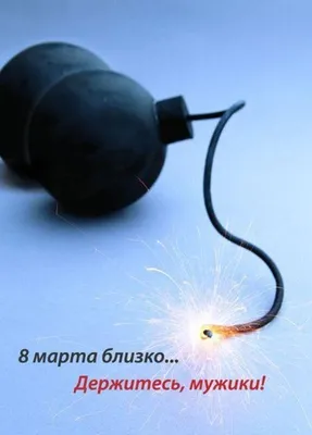 Хороший кот до марта ждать не будет! | Открытки, Кошачьи картины, Веселые  картинки
