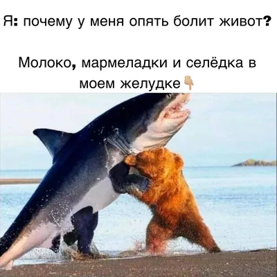 Крошка Картошка