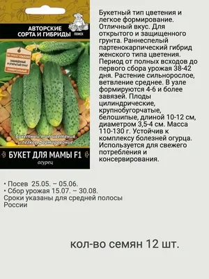 Как правильно прищипывать огурцы - когда это делать - Lifestyle 24