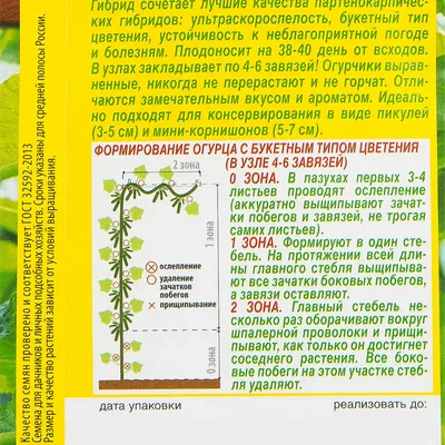 Скажите,пожалуйста,как формировать гибридные огурцы F 1?Нужно ли прищипывать  нижние пасынки. Растут в теплице.Спасибо .