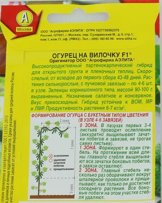 https://ngs.ru/text/summer/2023/06/11/72383570/