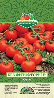 Почему скручиваются, желтеют, белеют листья у помидор, что делать с  болезнями томатов, как бороться с фитофторозом, кладоспориозом - 15 июля  2022 - v1.ru