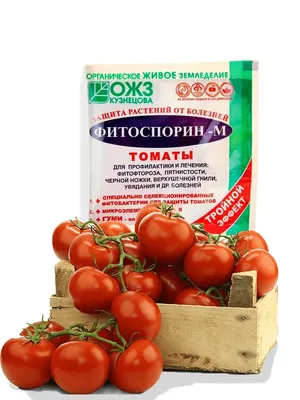 ФИТОФТОРОЗ И КАК С НИМ БОРОТЬСЯ - Флора Питомник - плодовый и садовый  питомник растений, продажа саженцев и рассады на весну 2021
