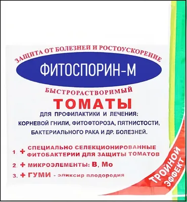 Фитофтороз томатов. Профилактика и меры борьбы — Ботаничка