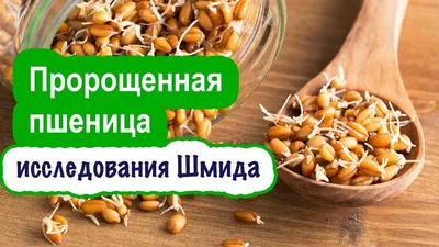 Пророщенная пшеница - полезный и вкусный завтрак - Кулинарные рецепты