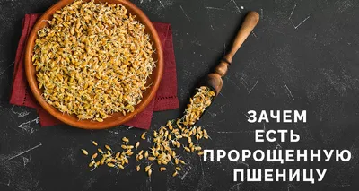Пророщенная пшеница: польза и вред, рецепты блюд