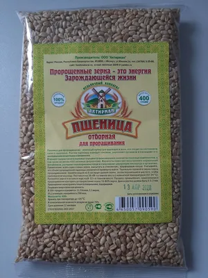 Пшеница для проращивания, 3кг - купить с доставкой по выгодным ценам в  интернет-магазине OZON (222573678)
