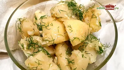 4 рецепта с картофелем. Простые и вкусные блюда | Наталья Горбачёва |  Разумная кулинария | Дзен