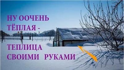 Как организовать капельный полив в теплице своими руками?