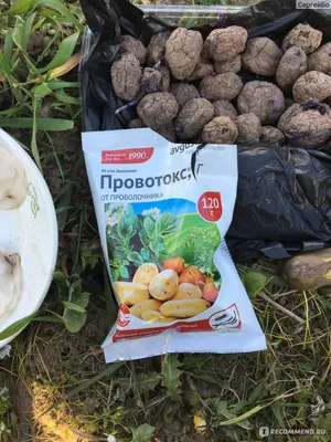 Вредители картофеля и защита биопрепаратами