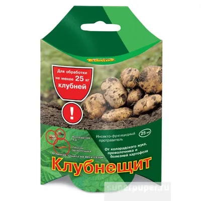 Всегда садите у картошки! Какое растение отпугивает проволочника и  обогащает почву