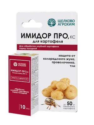 Чем обработать картофель перед посадкой от проволочника и колорадского жука  | Картофель, Ростки, Здоровье