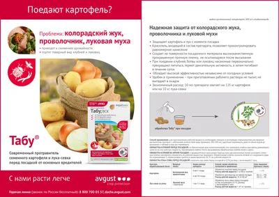 Когда сажать картошку, как избавиться от проволочника и колорадского жука  перед посадкой: лучшие сорта картофеля, удобрения - 15 апреля 2023 - НГС