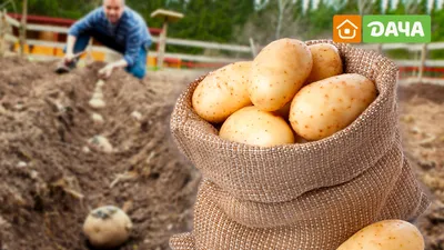 Провотокс® – купить препарат Провотокс® оптом по цене производителя «АВГУСТ»