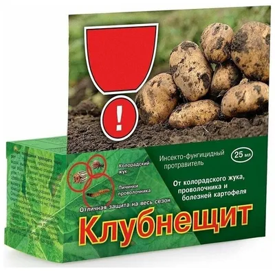Борьба с проволочником картофеля: обработка химическими и народными  средствами, профилактические меры, фото