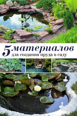 Плюсы и минусы искусственного водоёма во дворе | Аgro-Market