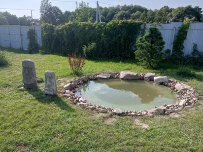 Советы по устройству декоративного пруда с водопадом в саду своими руками