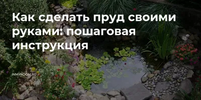 Как сделать пруд на даче своими руками: виды водоёмов и как их делать