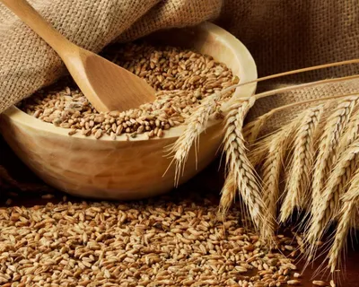 Пшеница/Шугуровская/для проращивания/ микрозелень/ витграсс 1 кг.