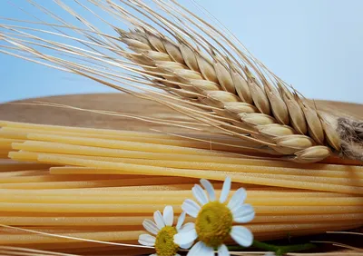 Пшеница отборная \"Образ жизни\" для проращивания, 500гр - Veganterra