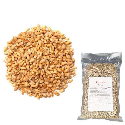 Пшеница для проращивания Зерница 500 г купить в интернет-магазине Техника  Здоровья