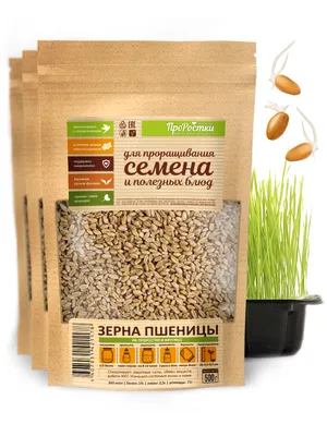 Купить Пшеница 1 кг. за 50 руб. в наличии почтой | «Сад-Эксперт» – Семена  сидератов