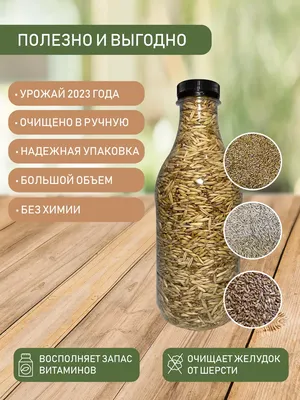 По мнению США, казахстанские пшеница и ячмень улучшились на 39% |  Inbusiness.kz
