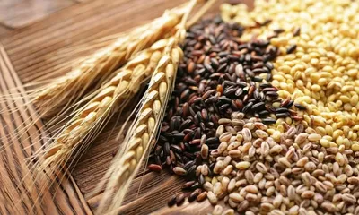 Пшеница, ячмень, отруби: 42 тг. - Корма для сельхоз животных Жетыбай на Olx