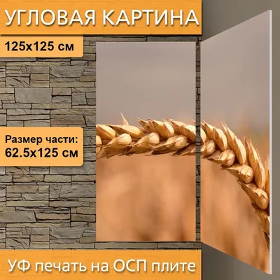 Колос пшеницы 3D Модель $10 - .3ds .fbx .max .obj - Free3D