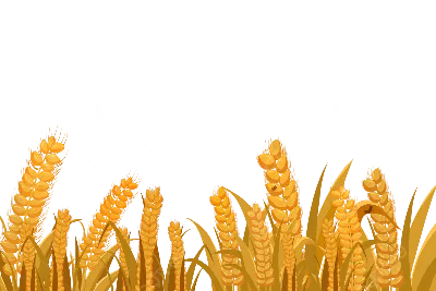 Пшеничный Колос Пшеница Шип - Бесплатное фото на Pixabay - Pixabay