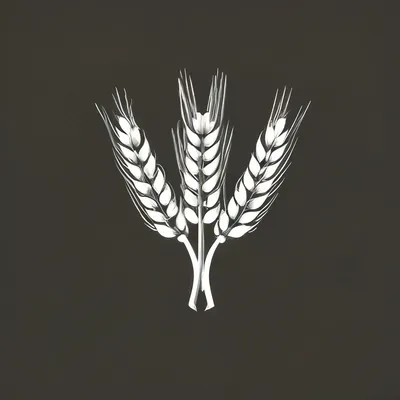 колос пшеницы черно белый PNG , колосья пшеницы, Png значок,  сельскохозяйственный PNG рисунок для бесплатной загрузки