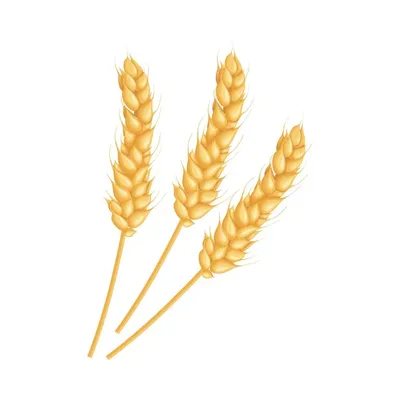 Белый логотип пшеница колос на …» — создано в Шедевруме