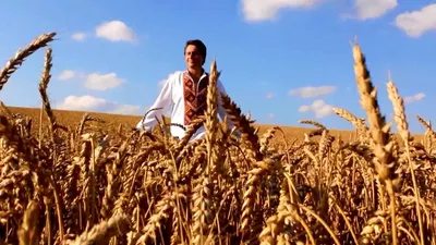 Павло Доскоч - Пшениця колоситься - YouTube