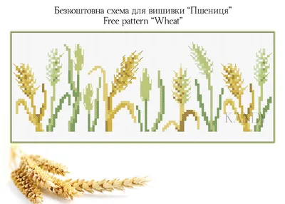 РАННЯ 93 (Пшениця яра) – Інститут землеробства НААН