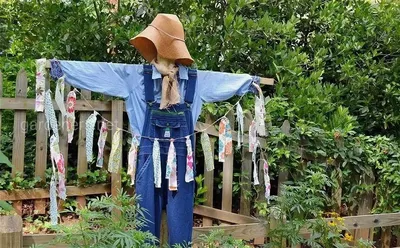 Огородное пугало: назначение, виды, как сделать чучело своими руками