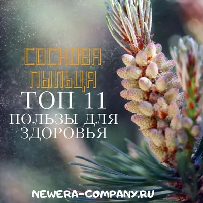 Пыльца сосны Народная Здрава 25 г. | Tevaherb