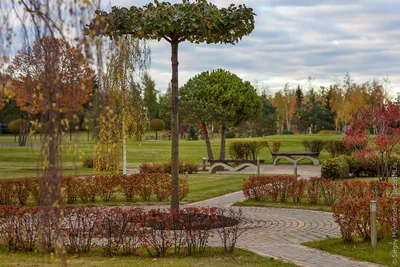 Райские сады Подмосковья