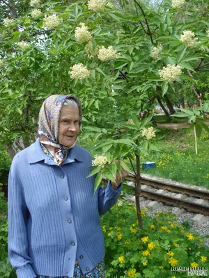Райские сады Будды 🧭 цена экскурсии €130, 5 отзывов, расписание экскурсий  в Лиссабоне