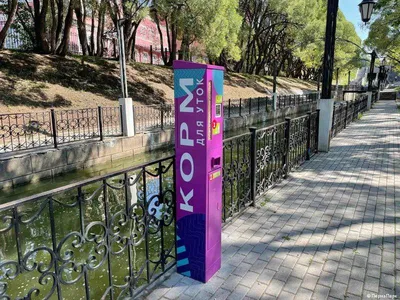 ПЛЯЖИ ХАРЬКОВА - где купаться в Харькове