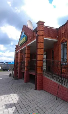 Уютный и стильный. Райский сад купить в Киеве, цена: Львов, Харьков,  Одесса, Днепр отзывы — интернет-магазин Клуб Растений