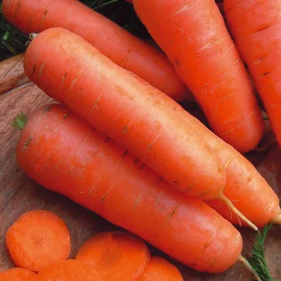 Лучшие сорта моркови на ( ранняя, среднеспелая и поздние сорта)! | Всё про  всё | Дзен