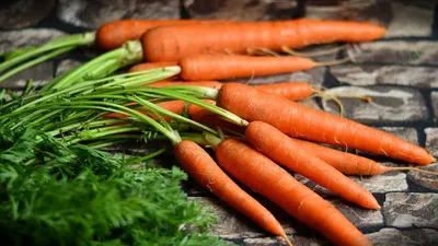 Семена моркови Шантене : 0,5гр Syngenta