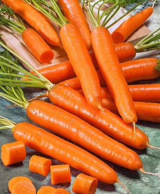 10 СОРТОВ МОРКОВИ выбираю лучшие! Как я выращиваю морковь от посева до  сбора урожая - YouTube