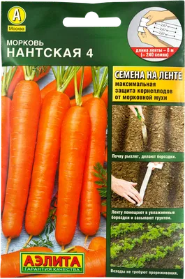 Купить семена Морковь Ранняя сладкая F1 — от НПО Сады Росcии