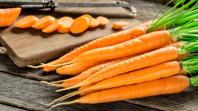 Какие сорта моркови можно сеять под зиму, кроме Нантской и Шантанэ |  Садовичок | Дзен